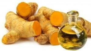 Turmeric Root Oil Cas No: 8024-37-1