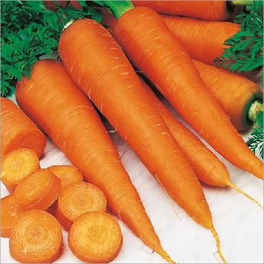 Seasoned Fresh Carrot