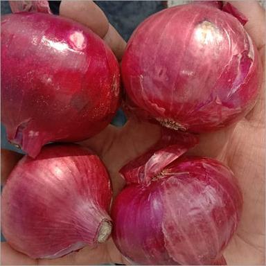 Red Onion Shelf Life: 1 Months