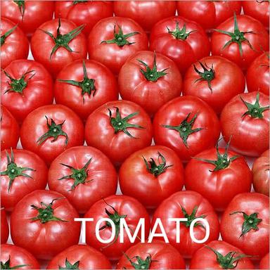 Seasoned Fresh Tomato