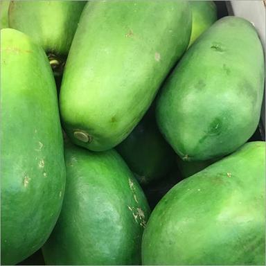 Common Green Papaya