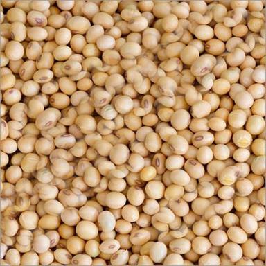 Organic Whole Soybean Grade: Food Grade