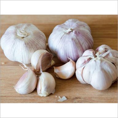 Fresh Garlic Shelf Life: 15-20 Days
