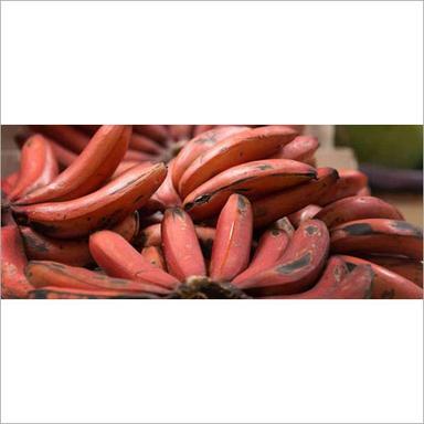 Common Fresh Red Banana