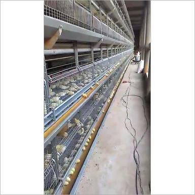 Durable Chick Cum Grower Battery Cages