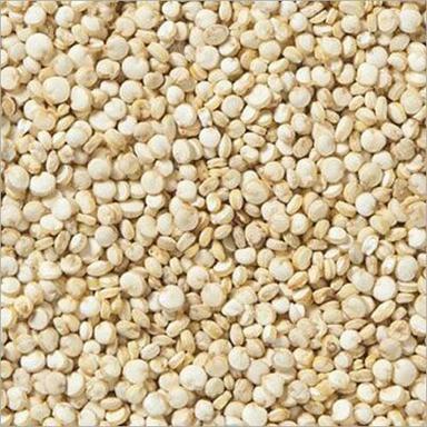 Organic Patel Quinoa Seeds