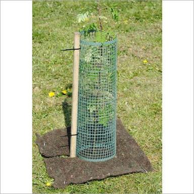 Fabricated Sapling Plant Protector Greenhouse Size: Small