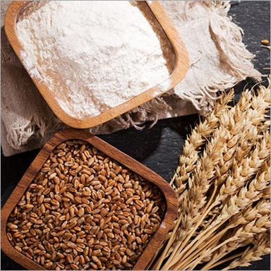 Common Milling Wheat Grain