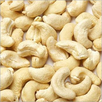 Common Cashew Nut