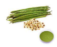 Herbal Product Moringa Seed Extract