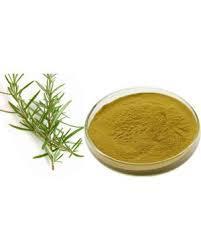 Herbal Product Rosemary Extract
