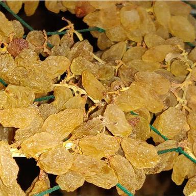 Common Dried Grapes For Dry Fruit