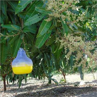 Plastic Fruit Fly Pheromone Lure