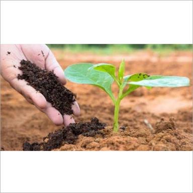 Bio Compost Organic Fertilizer Grade: Bio-Tech Grade