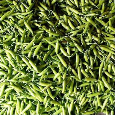 Fresh Green Chilli Moisture (%): 98-100%