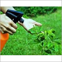 Herbal Pest Control Services