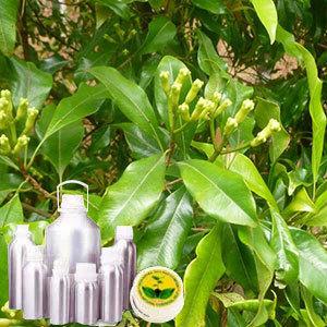 Clove Leaf Certified Organic Oil