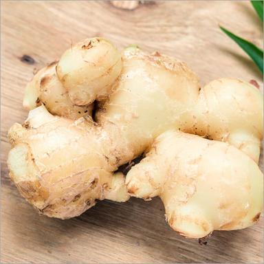 Fresh Ginger Moisture (%): 98-100%