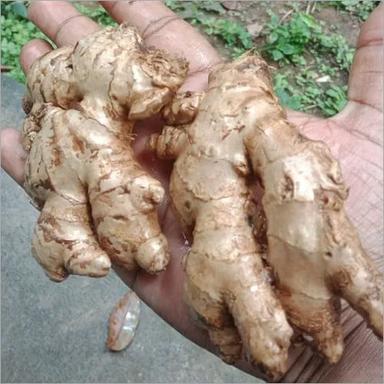 Natural Fresh Ginger