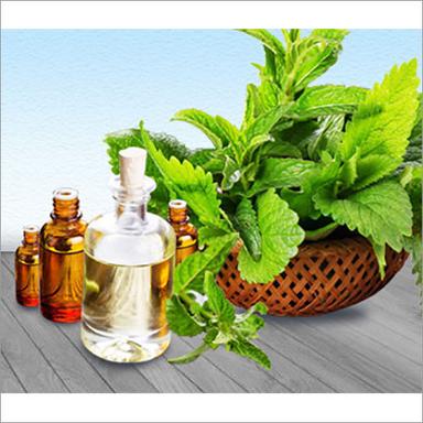 L - Carvone Ingredients: Herbs