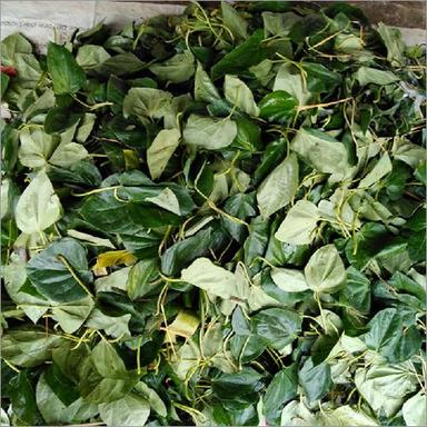 Dried Betel Leaves