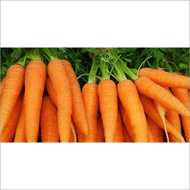 Natural Fresh Carrot