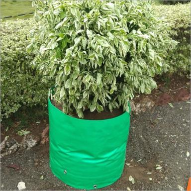 Green Plant Grow Bag