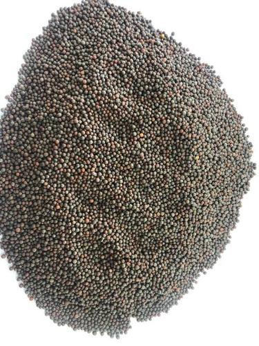 Mustard seeds