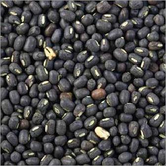 Organic Whole Black Lentils