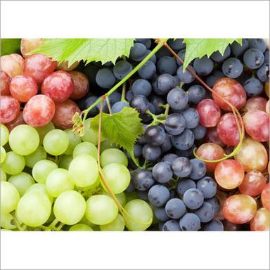 Fresh Grapes