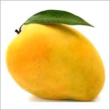 Yelow Fresh Mango