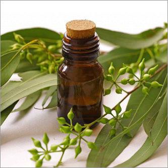 Eucalyptus Oil