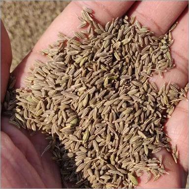 Organic Cumin Seed Grade: Food