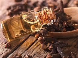 Clove Essential Oil Age Group: All Age Group