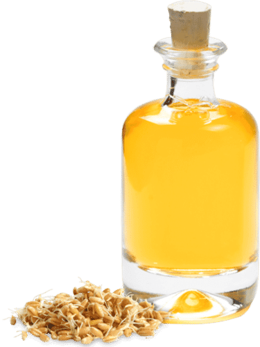 Wheat Germ Oil (Triticum Vulgare Oil)