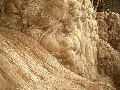 Raw Jute