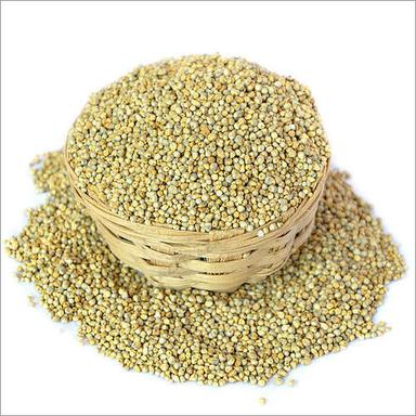 Organic Pearl Millets Purity: Upto 99%
