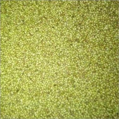 Organic Coriander Seeds