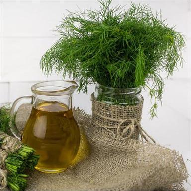Common Dill Seed Oil