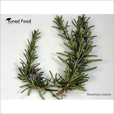 Dry Rosamary Leaves Herbs