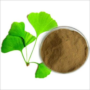 Ginkgo Biloba Extract Powder