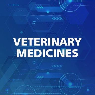 Pills Veterinary Medicine