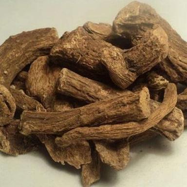 Herbal Medicine Costus Root