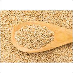 Organic Natural Sesame Seeds