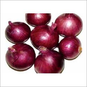 Red Onion