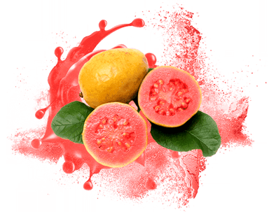 Cream Spray Dried Guava Powder