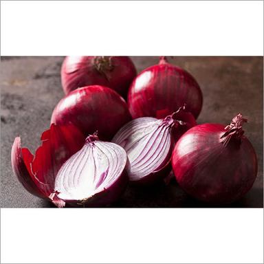 Fresh Red Onion