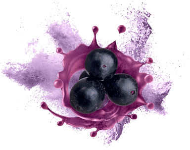 Pink Color Black Grape Powder ( Spray Dried ) Food Grade