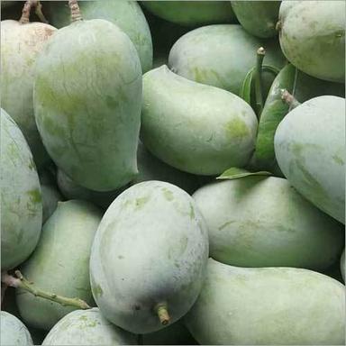 Green Ratnagiri Hapus Mango Origin: India