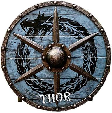 24 Inch Grey Medieval Viking LARP Warrior Wood and Steel Dragon Round Shield